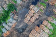 从高空拍摄的森林砍伐地区堆放的原木，展示了木材和环境影响