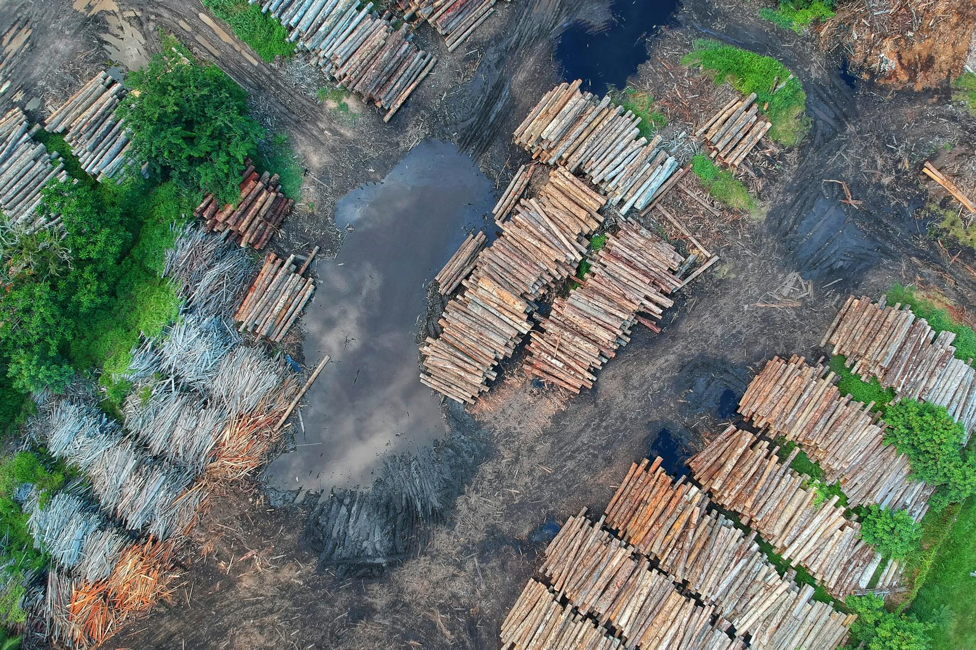 Bird's Eye View of Woodpile