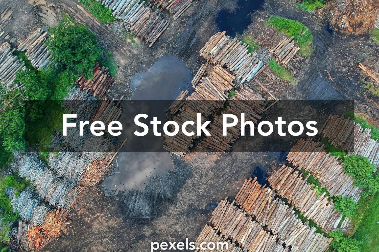 30+ Best Deforestation Photos · 100% Free Download · Pexels Stock Photos
