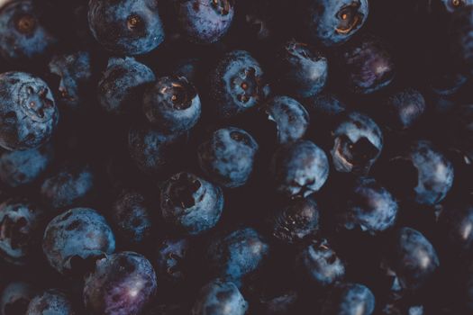 Black Round Fruits on Black Background