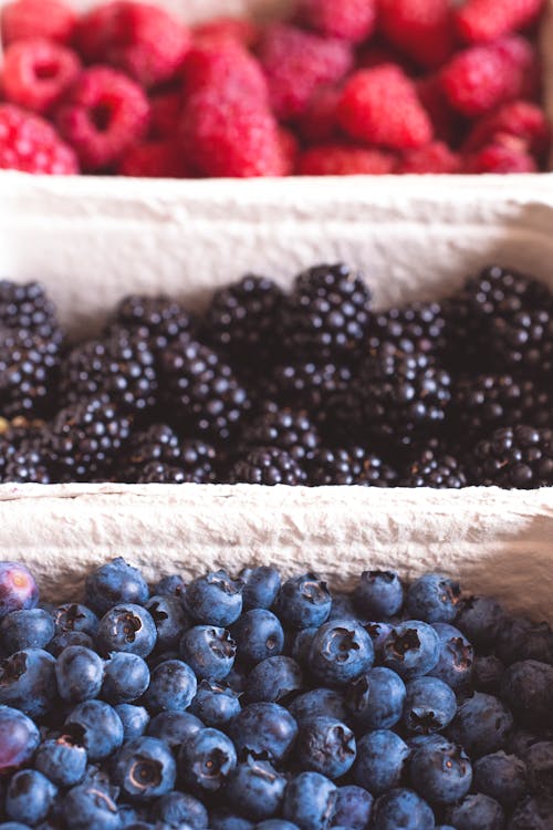 Free stock photo of berries, blackberries, blueberries Stock Photo