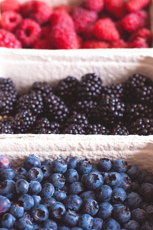 Free stock photo of berries, blackberries, blueberries