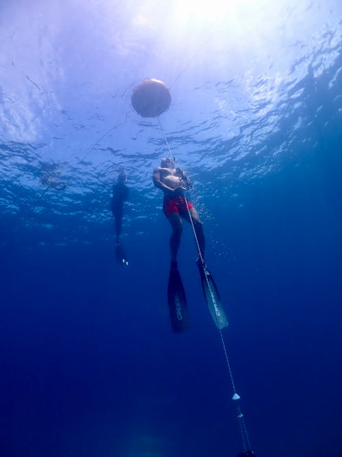 Gratis lagerfoto af dykker, dykning, person Lagerfoto