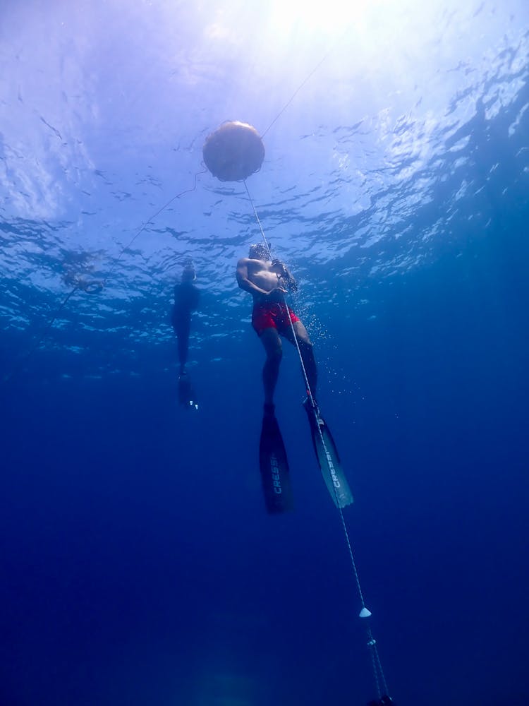 A Person Diving