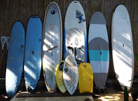 A collection of colorful surfboards neatly arranged against a bamboo wall, showcasing a variety of designs and sizes.
