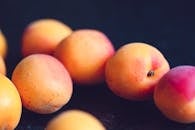Free stock photo of apricot, arranged, beautiful