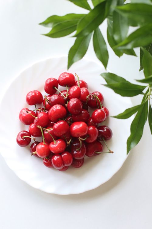 Free A vibrant display of ripe red cherries on a white plate with green foliage. Stock Photo