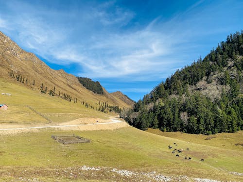 açık hava, arazi, çim saha içeren Ücretsiz stok fotoğraf