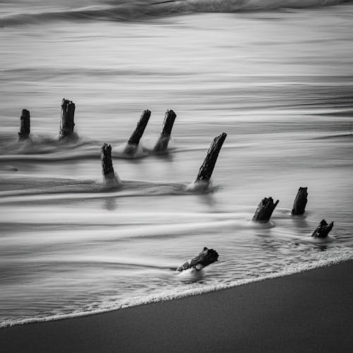 Pieces of Wood Sticking out from under a Sea Wave