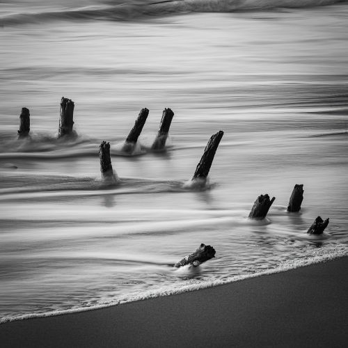 Free Moody black and white photo of driftwood and ocean waves on a Brazilian beach. Stock Photo