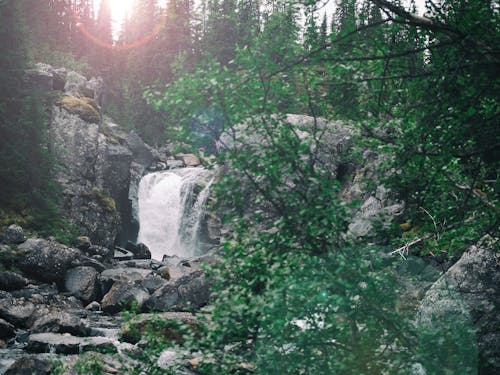 Бесплатное стоковое фото с jã¤mtland, водопад, деревья