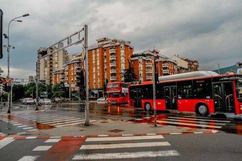 Základová fotografie zdarma na téma auta, autobusy, déšť