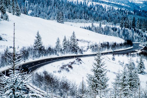 An Aerial Photography a Road in Between Trees on a Snow Covered Ground