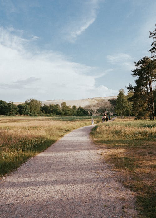 A Pathway Between Grass Fields
