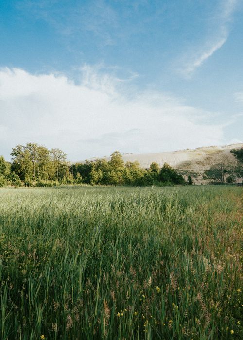 Free Explore the tranquil Lithuanian countryside with lush green fields and a clear sky. Stock Photo