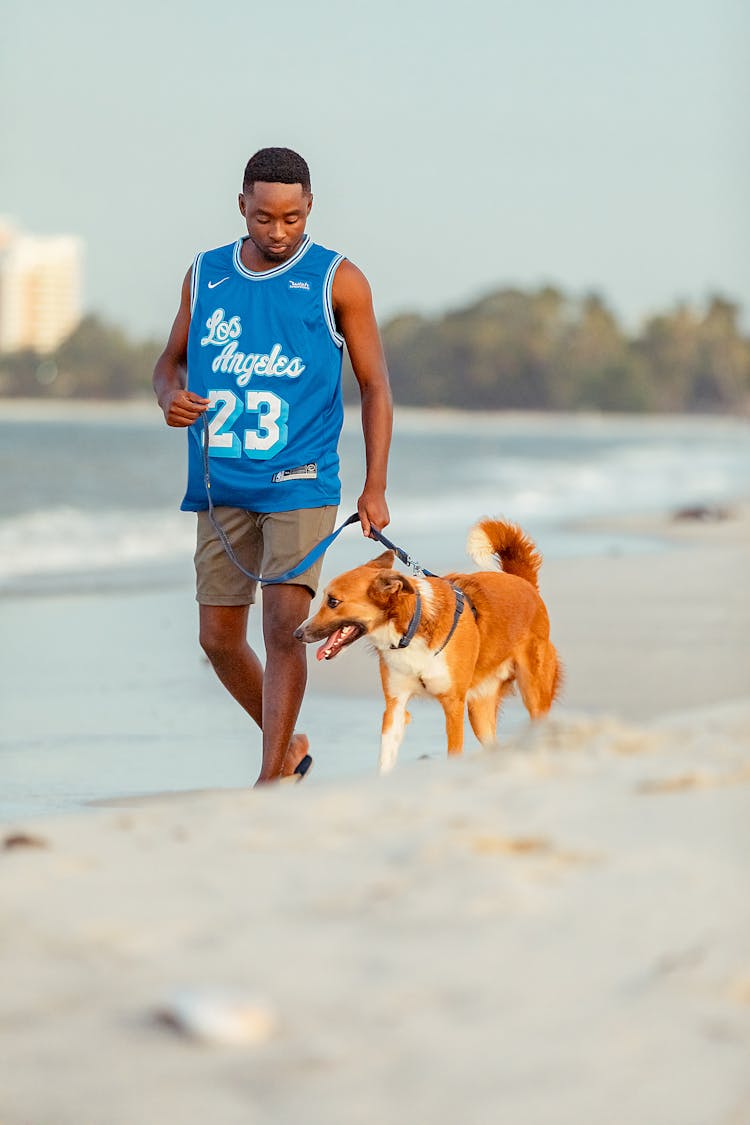 Man Walking Dog In Sea Beach 