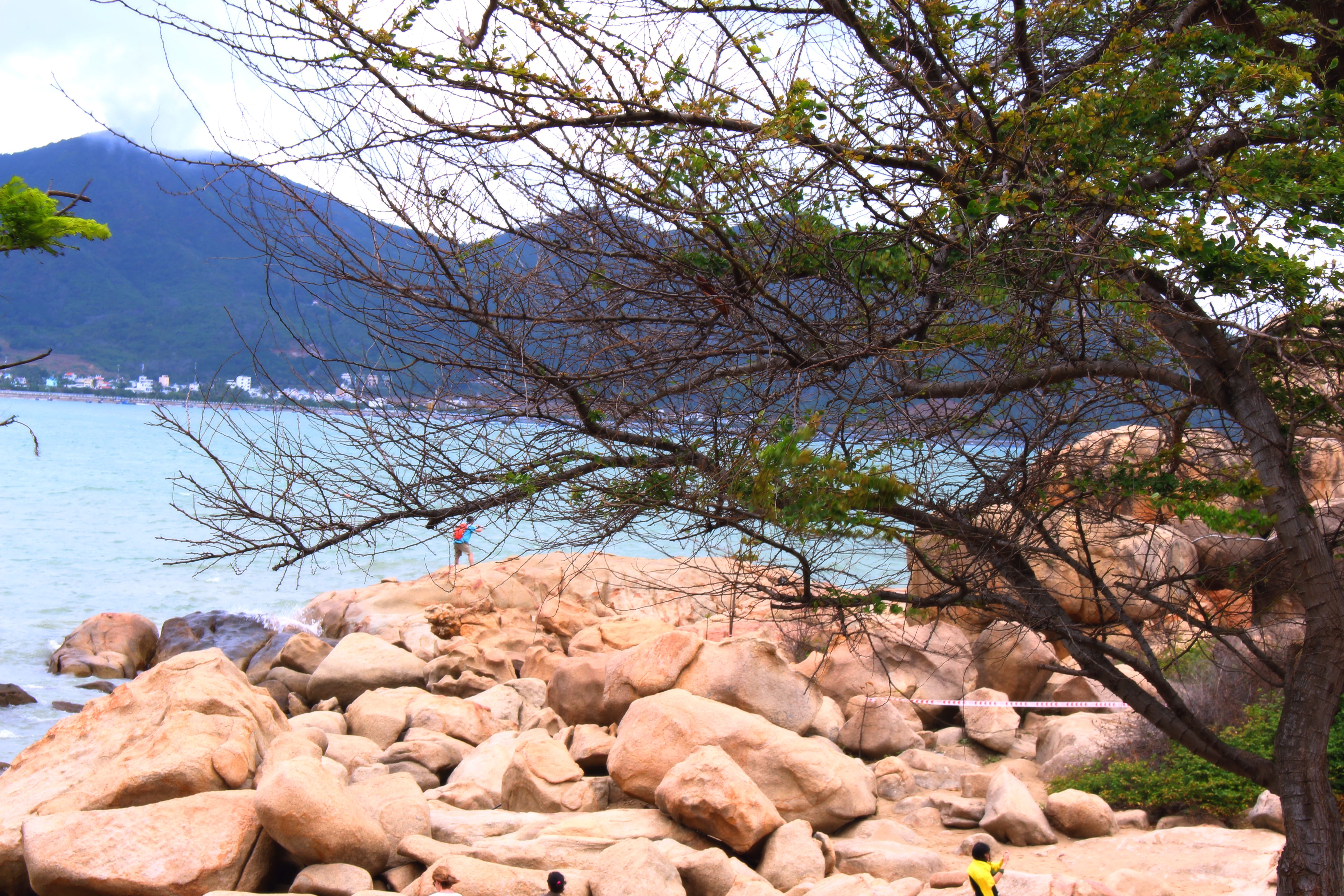 Kostenloses Foto Zum Thema Nha Trang vi t Nam