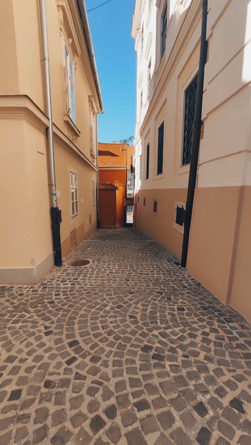 Narrow Alley in Town in Summer 