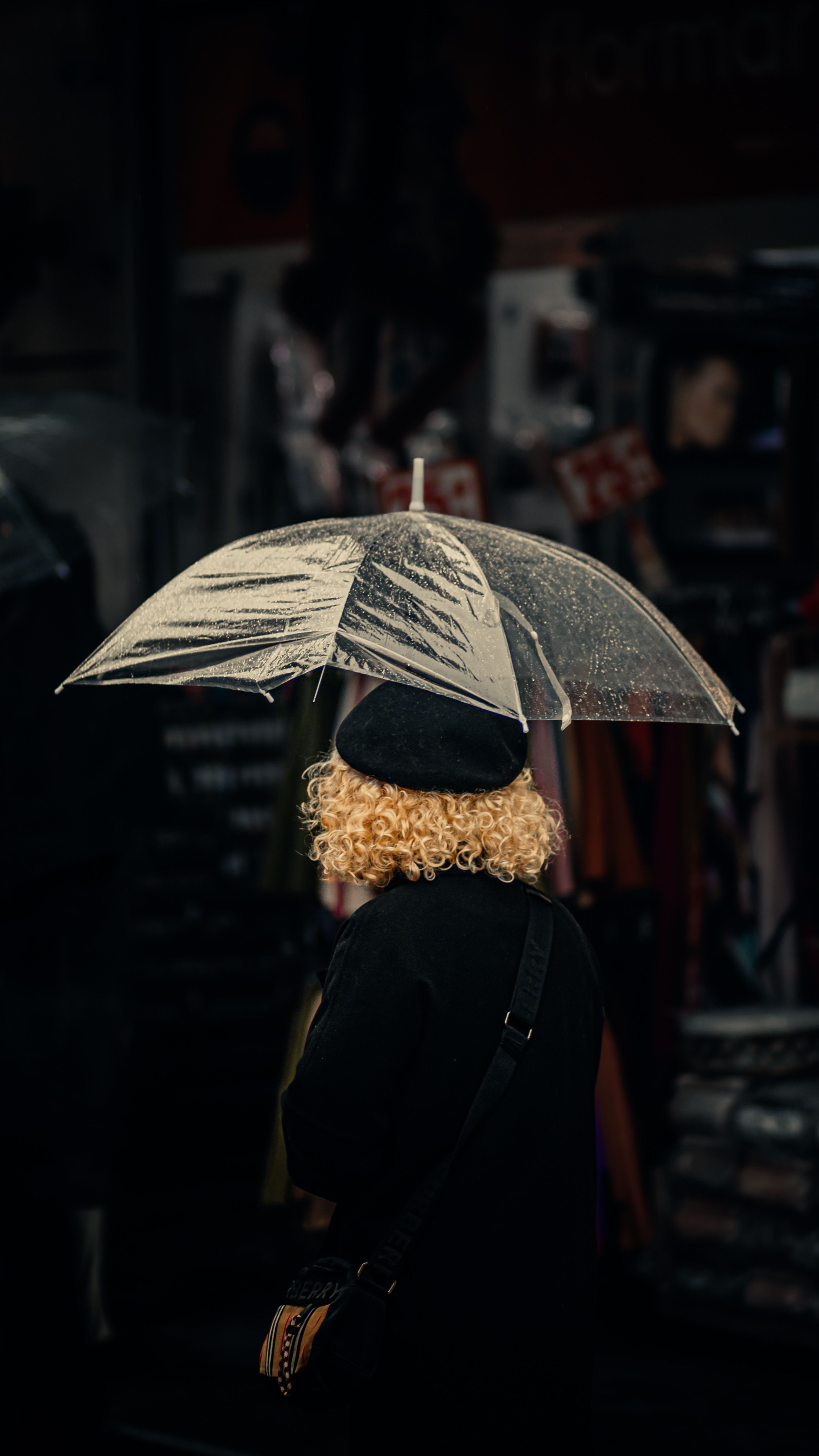 Woman in Black Coat Holding Umbrella · Free Stock Photo