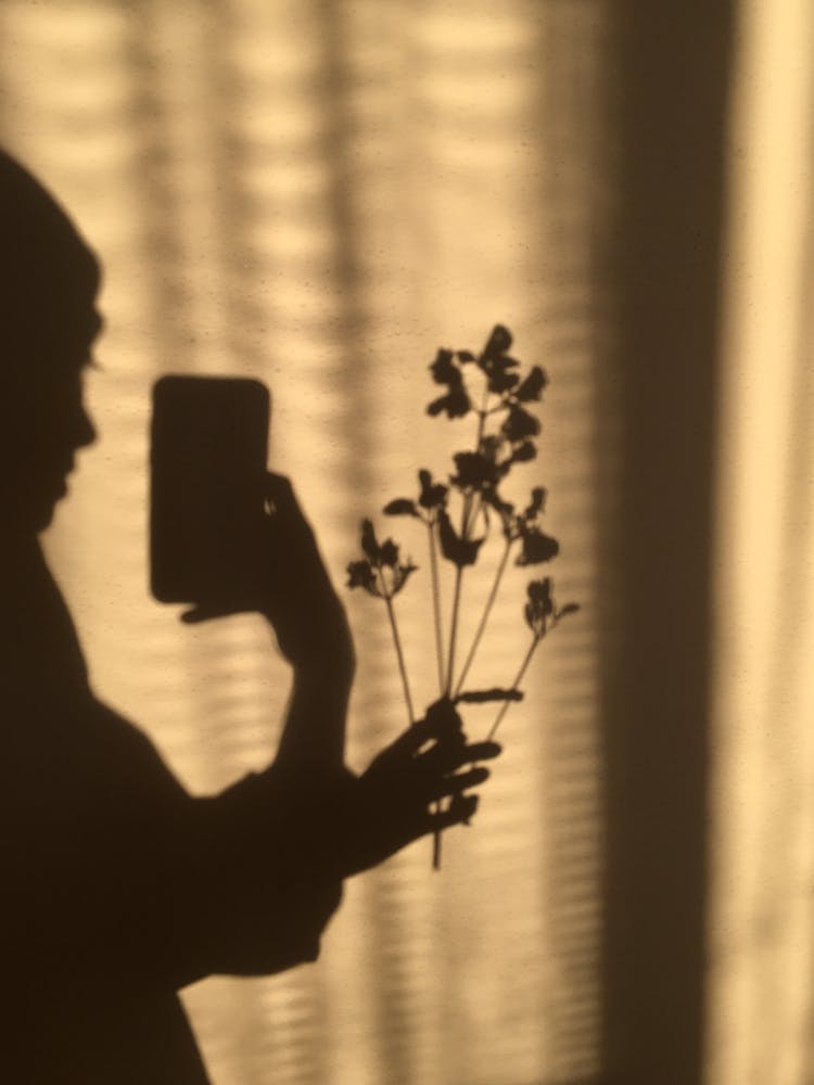 Shadow Of Woman With Flower Taking Picture With Mobile