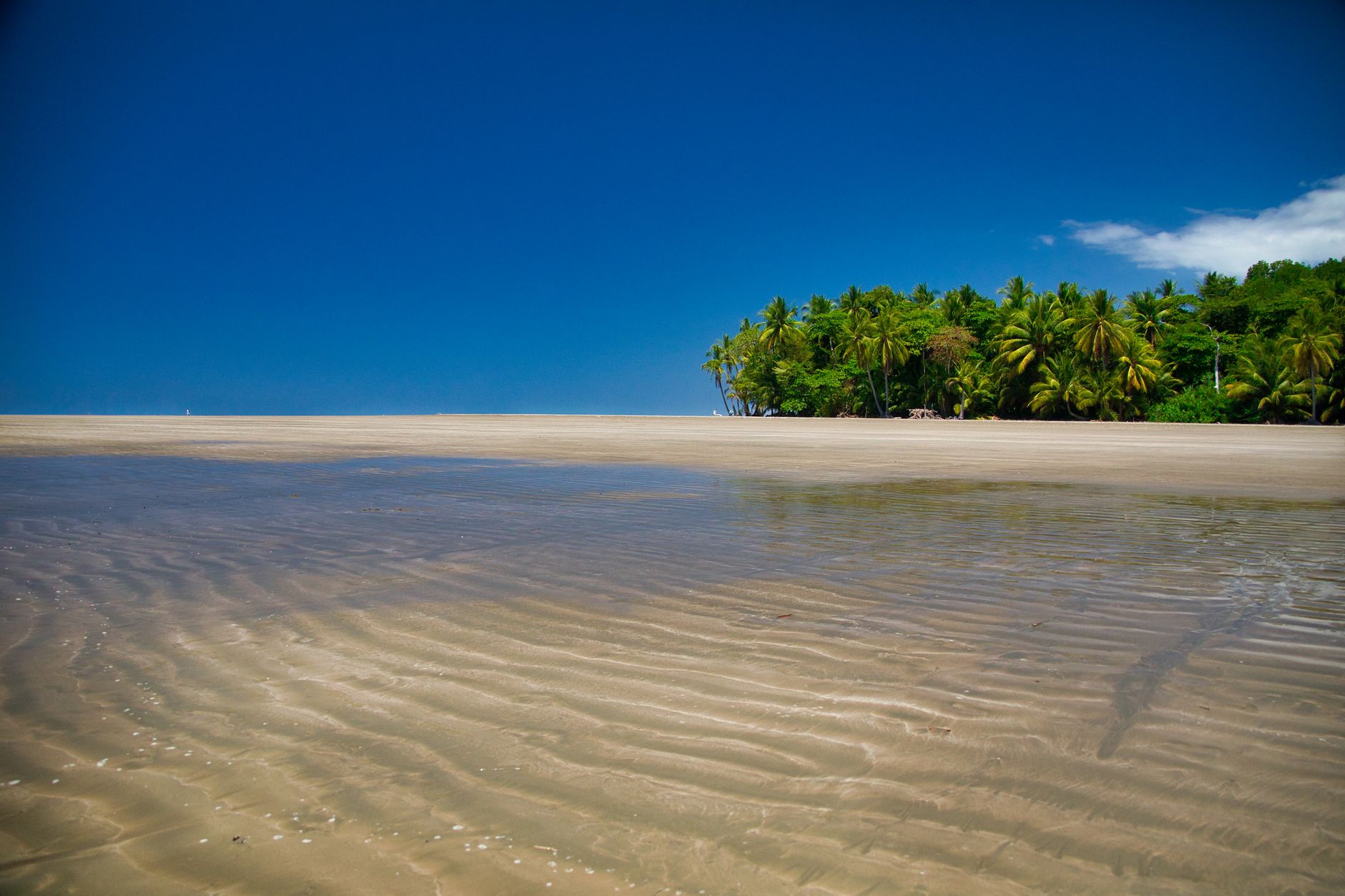 Discover the stunning sandy beaches and lush greenery of Uvita, Costa Rica. Ideal for travel and leisure.