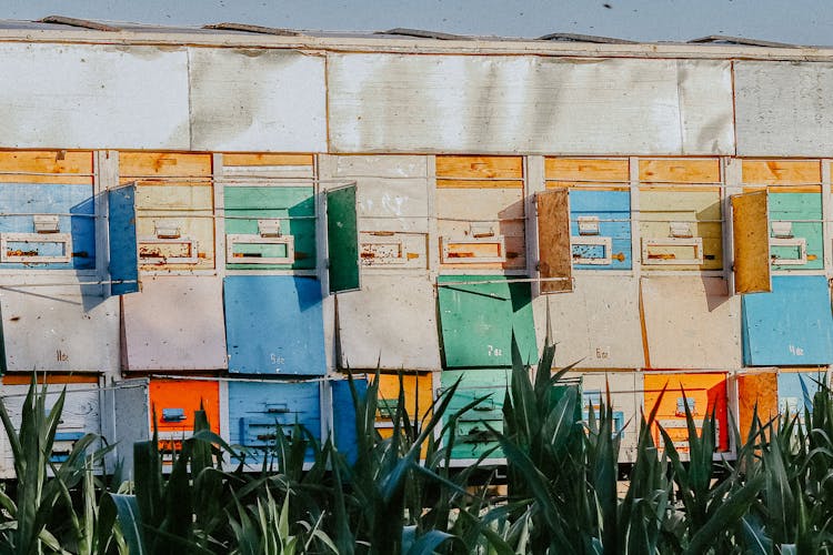 Wall Of Beehives By Field