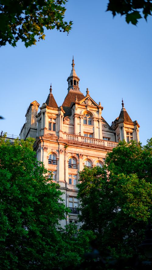 Free An elegant, ornamented London building framed by lush green trees during golden hour. Stock Photo