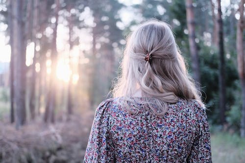 бесплатная Бесплатное стоковое фото с блондинка, вид сзади, дерево Стоковое фото