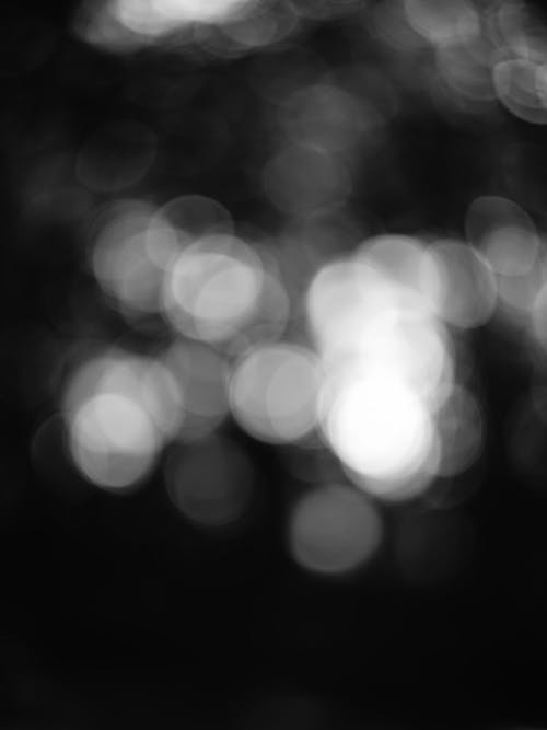 Imagine de stoc gratuită din alb-negru, blur, bokeh