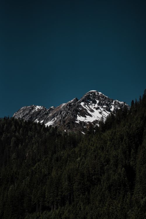 Free A majestic mountain peak with snow and lush green conifers under a clear blue sky. Stock Photo