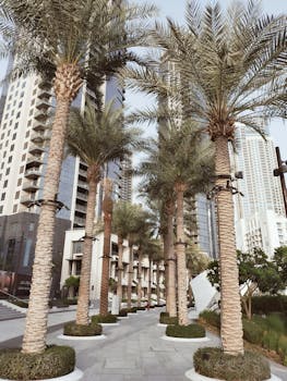 A vibrant cityscape featuring lined palm trees and modern skyscrapers.