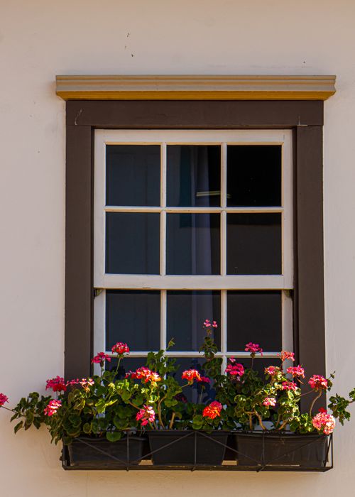 Free Elegant colonial window with vibrant flowers in Mariana, Brazil. Stock Photo
