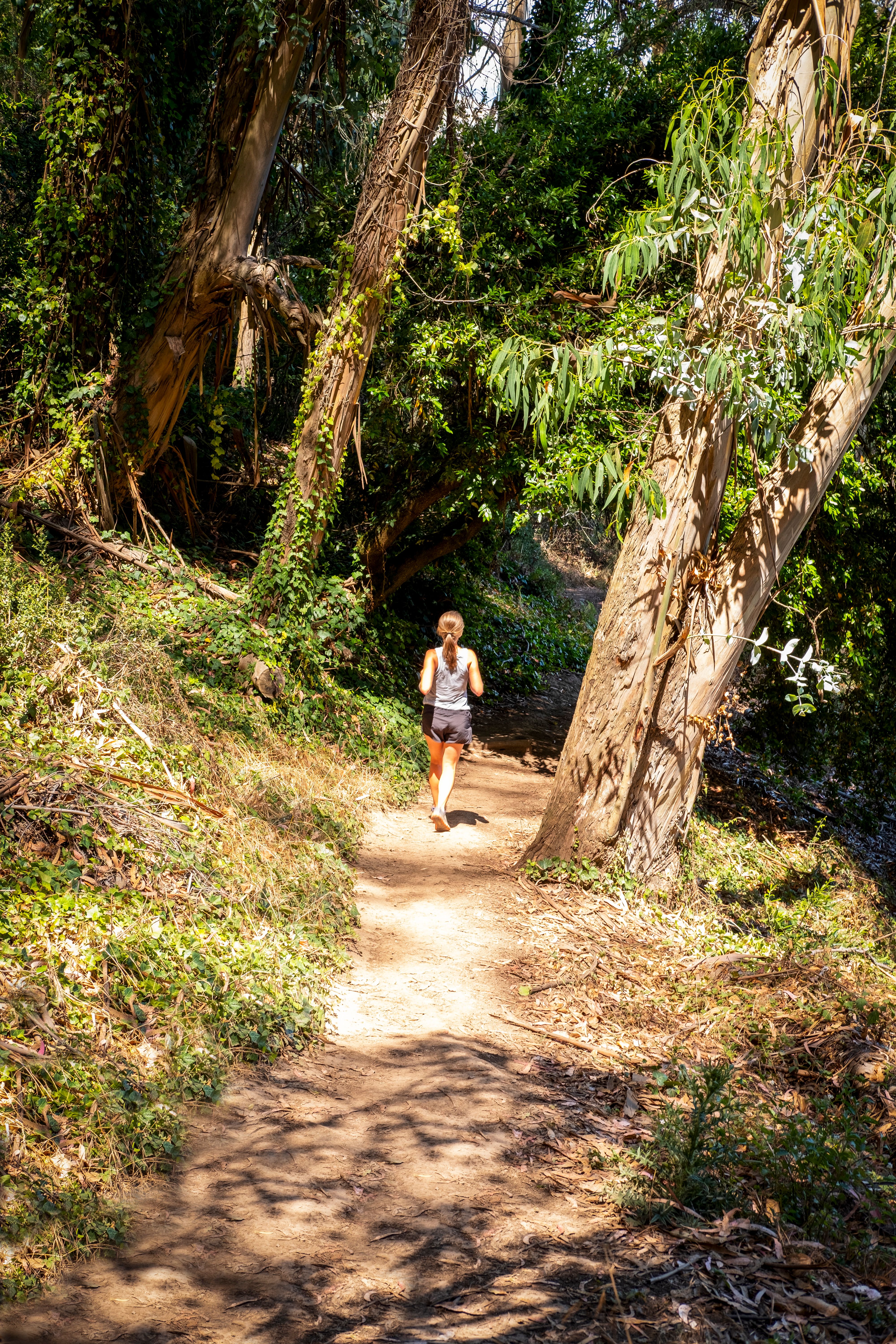 Young Woman Jogging Along a Forest Footpath · Free Stock Photo