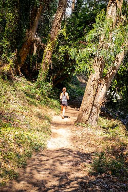 Darmowe zdjęcie z galerii z bieganie, las, młoda kobieta