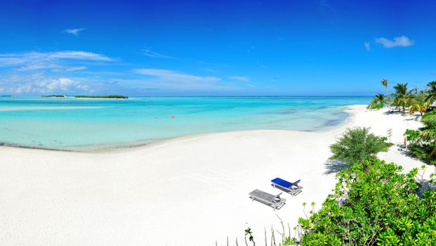 Stunning white sand beach in Kaafu Atoll, Maldives with turquoise waters and sun loungers.