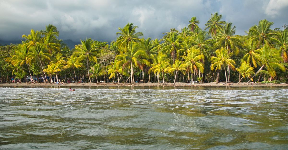 Trinidad and Tobago Things To Do — Caribbean travel guide