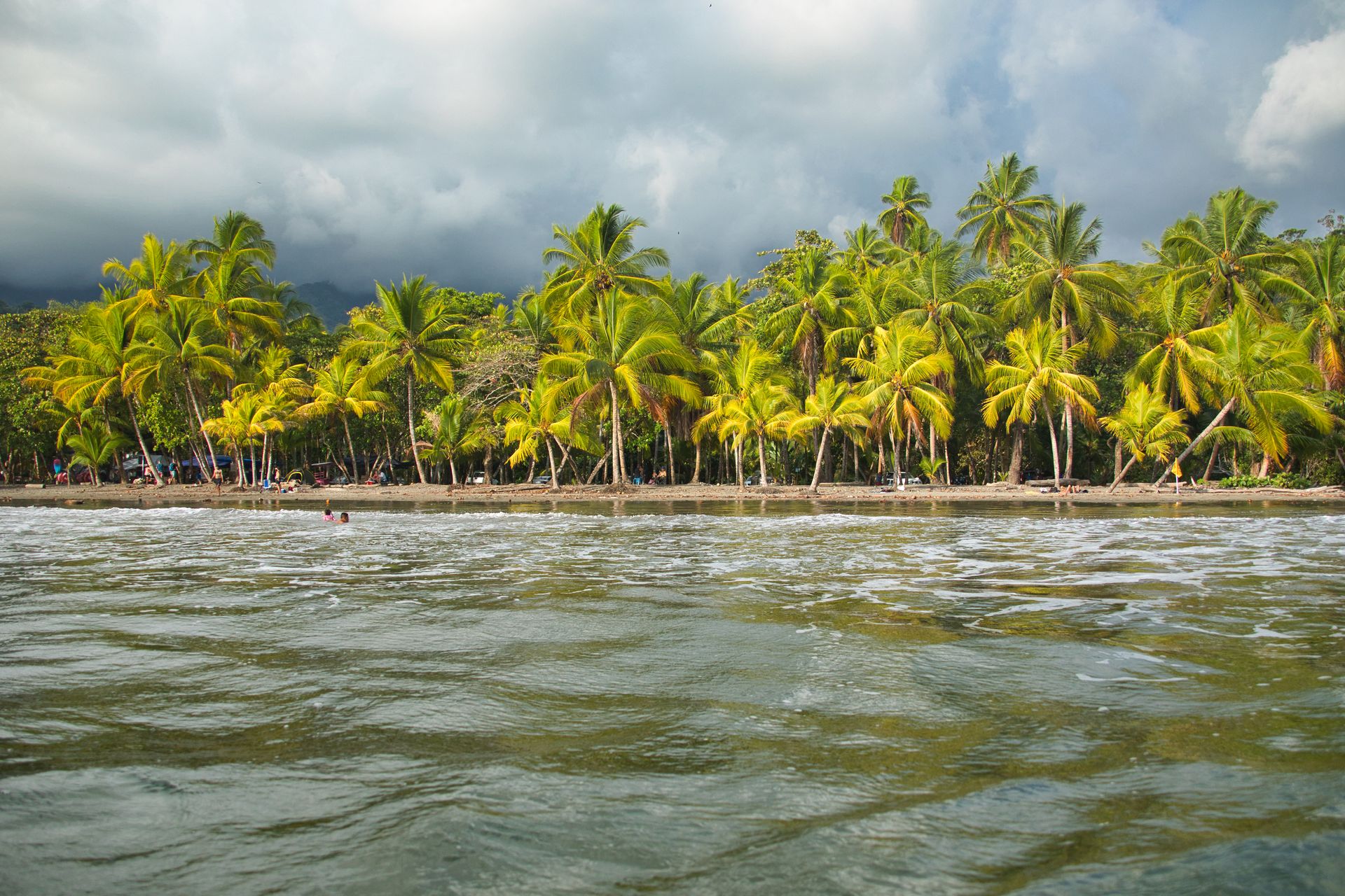 Lush palm trees by a tropical beach in Costa Rica under cloudy skies.