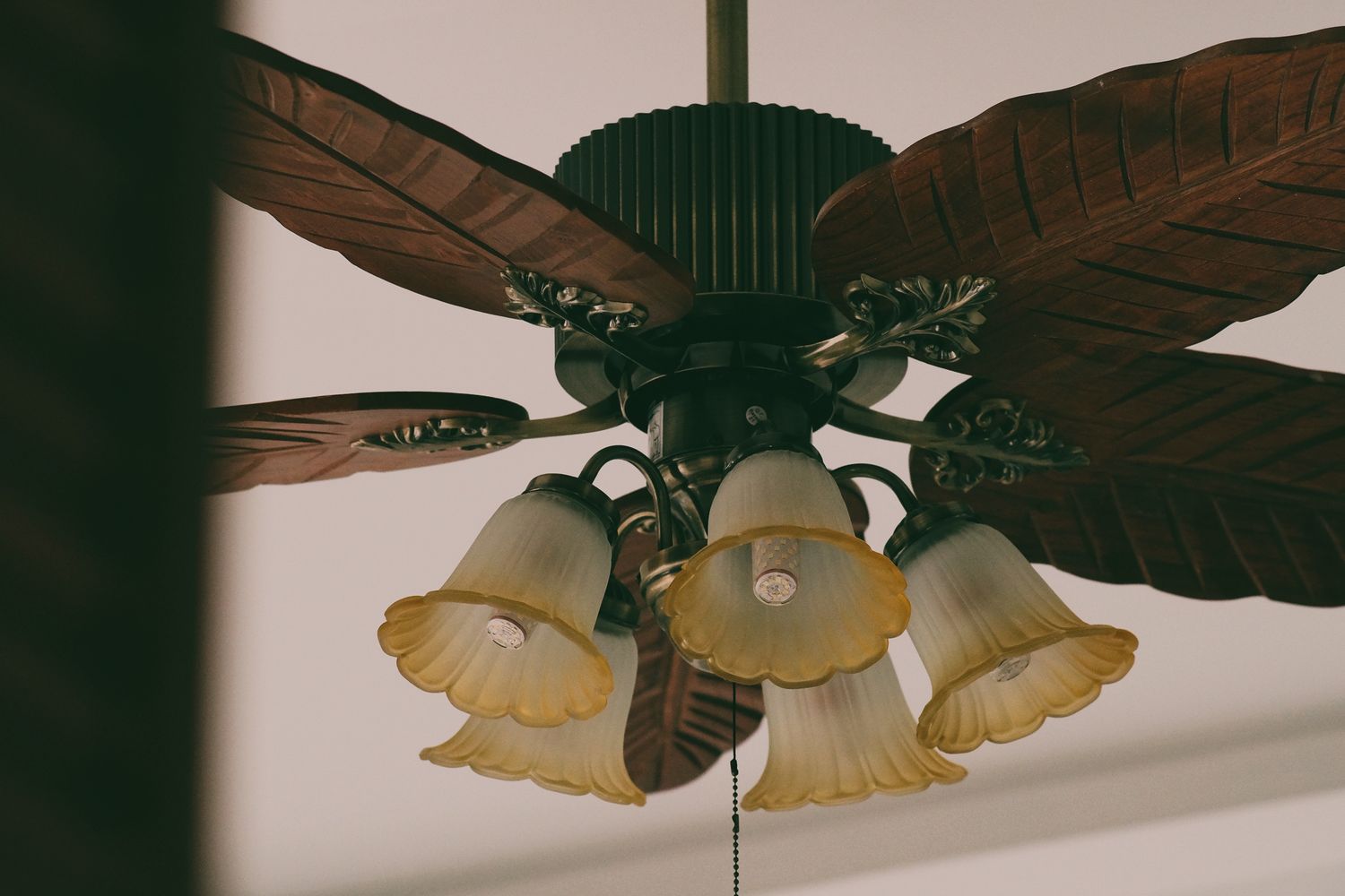 Fan Jpg Ceiling Fan Photos, Download The BEST Free Ceiling Fan Stock Photos ...