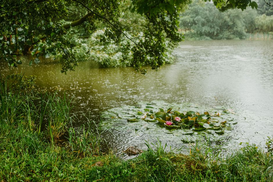 Reutilizarea apei de ploaie pentru revitalizarea zonelor umede din Parcul Natural Văcărești și Parcul Lumea Copiilor.