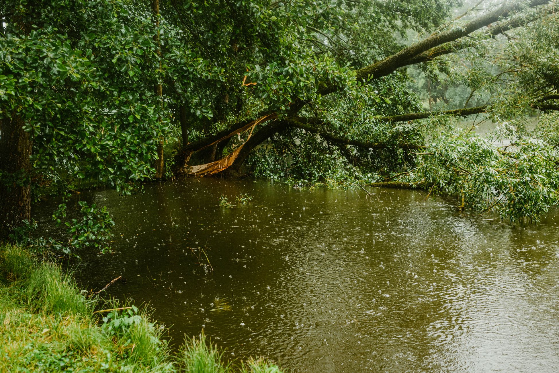 Buurt verbaasd over sproeien van bomen tijdens regen