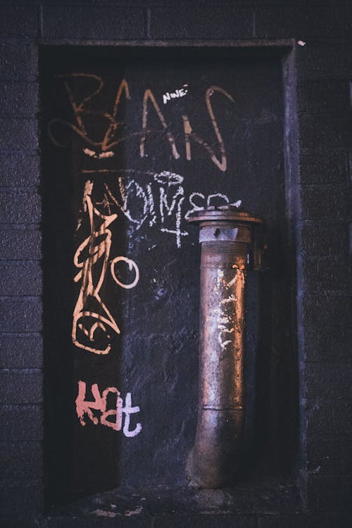 Foto d'estoc gratuïta de formigó, graffiti, mur