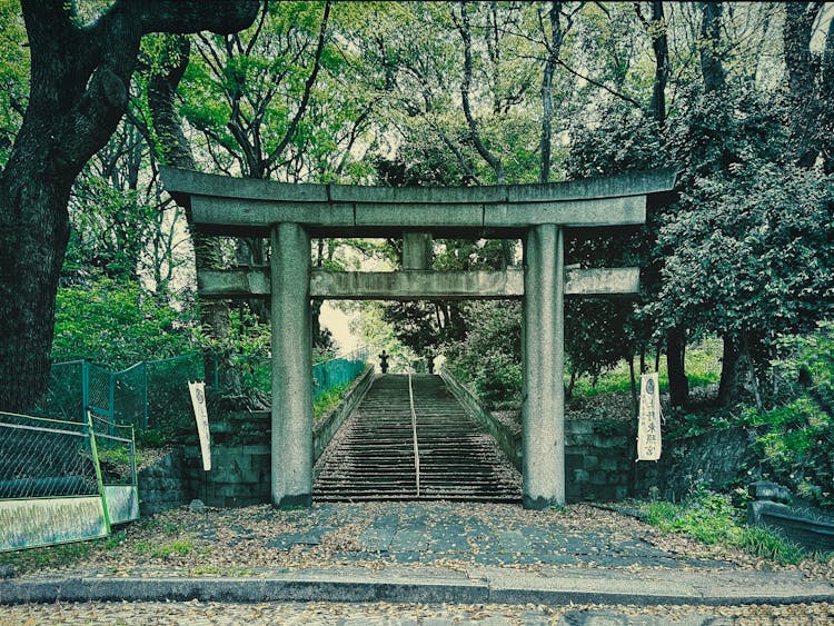 Torii Gate 