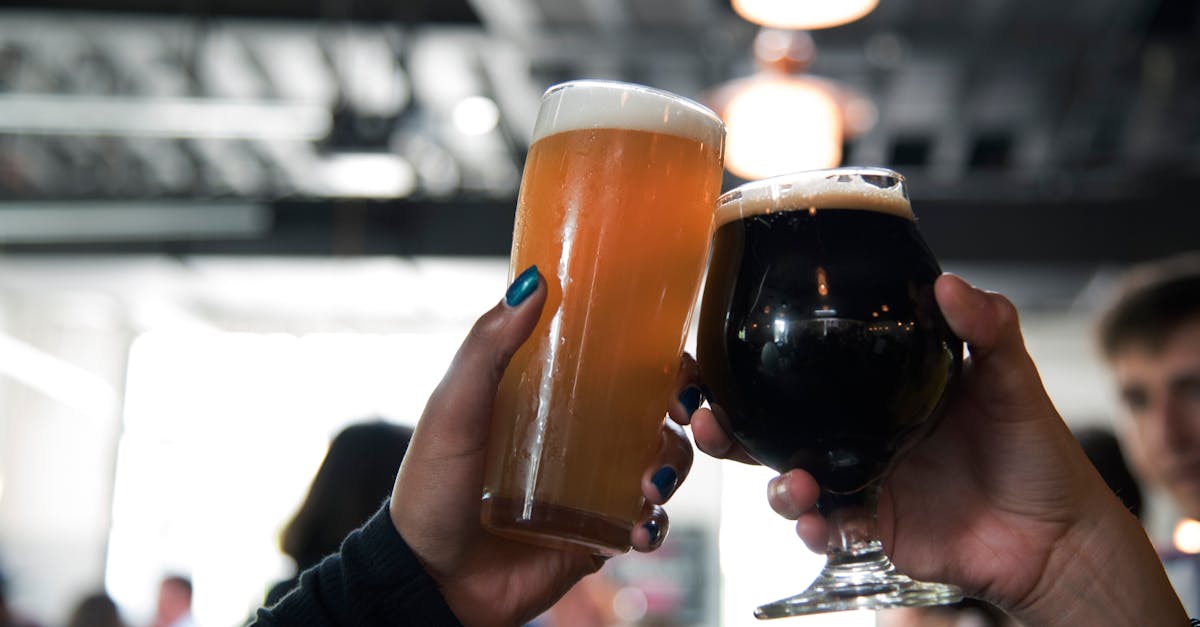 Photo by ELEVATE Two hands clink glasses of different craft beers, capturing a celebratory moment in a modern bar.