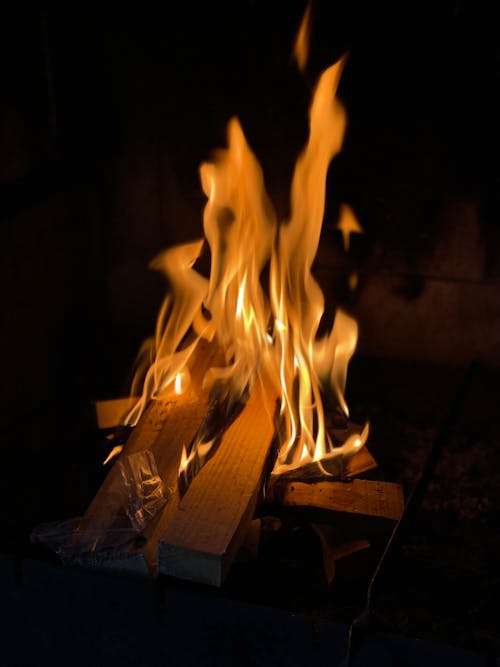 Darmowe zdjęcie z galerii z ciemny, las, ogień