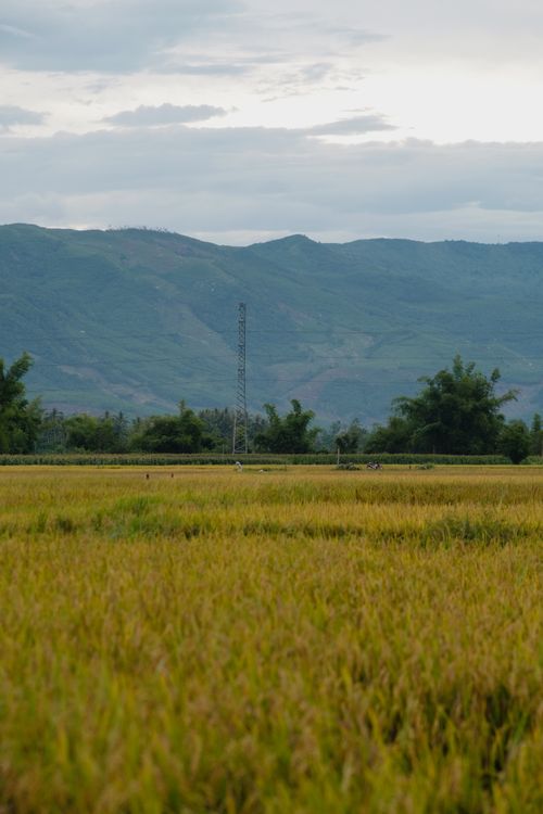Free Serene landscape of a lush field with mountains under a cloudy sky. Stock Photo