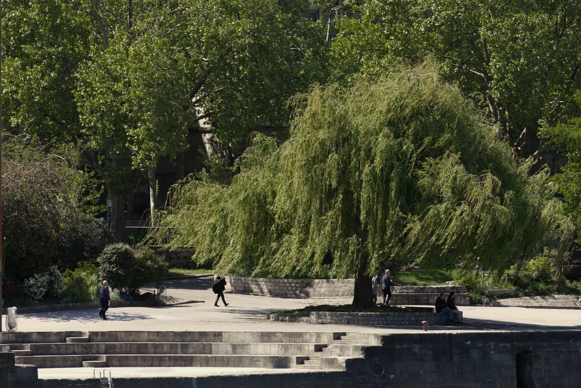 A tranquil park with a weeping willow tree and people strolling by.