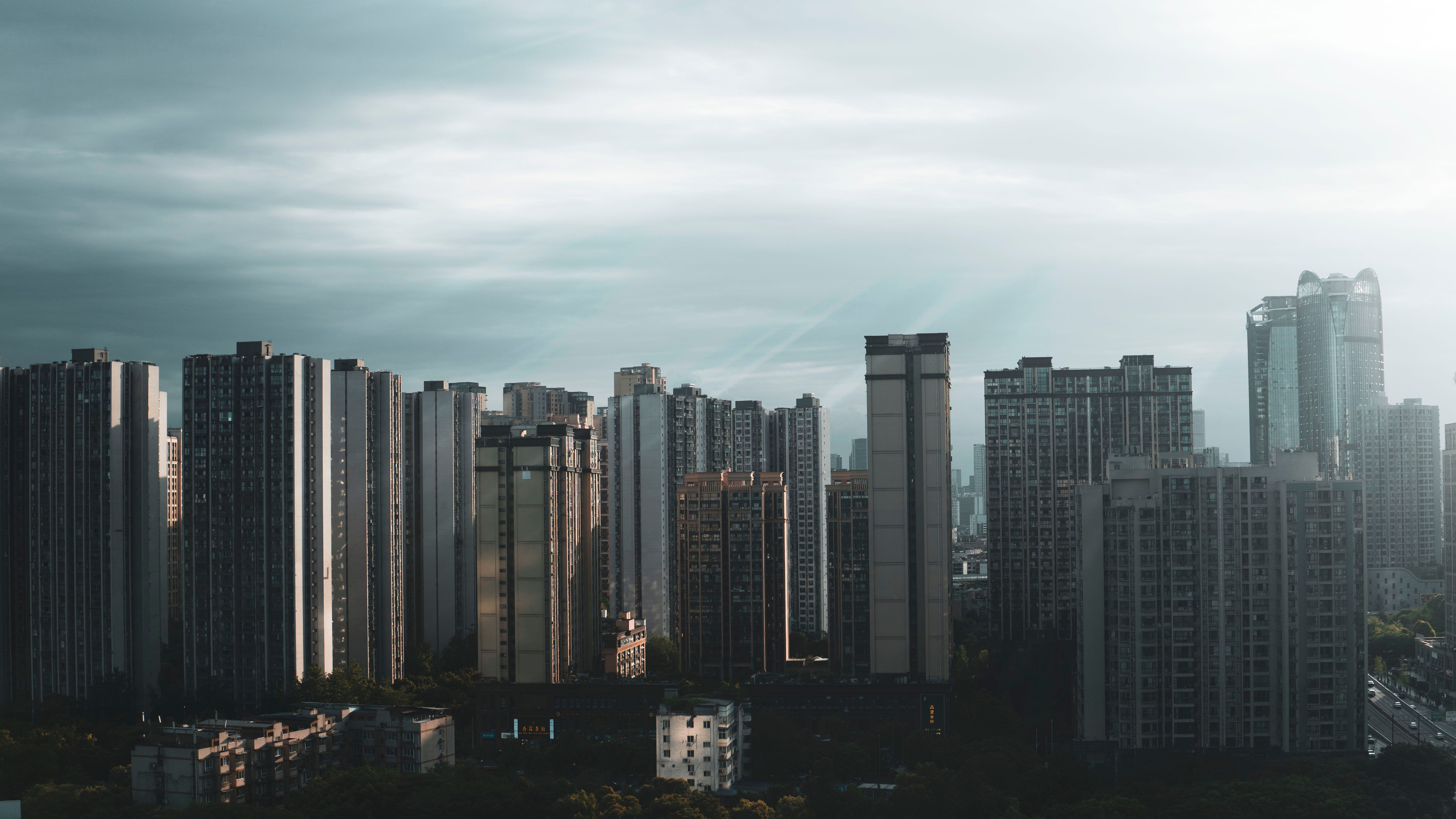 pexels-photo-12692019.jpeg?cs=srgb\u0026dl=pexels-chao-deng-770817-12692019.jpg\u0026fm=jpg