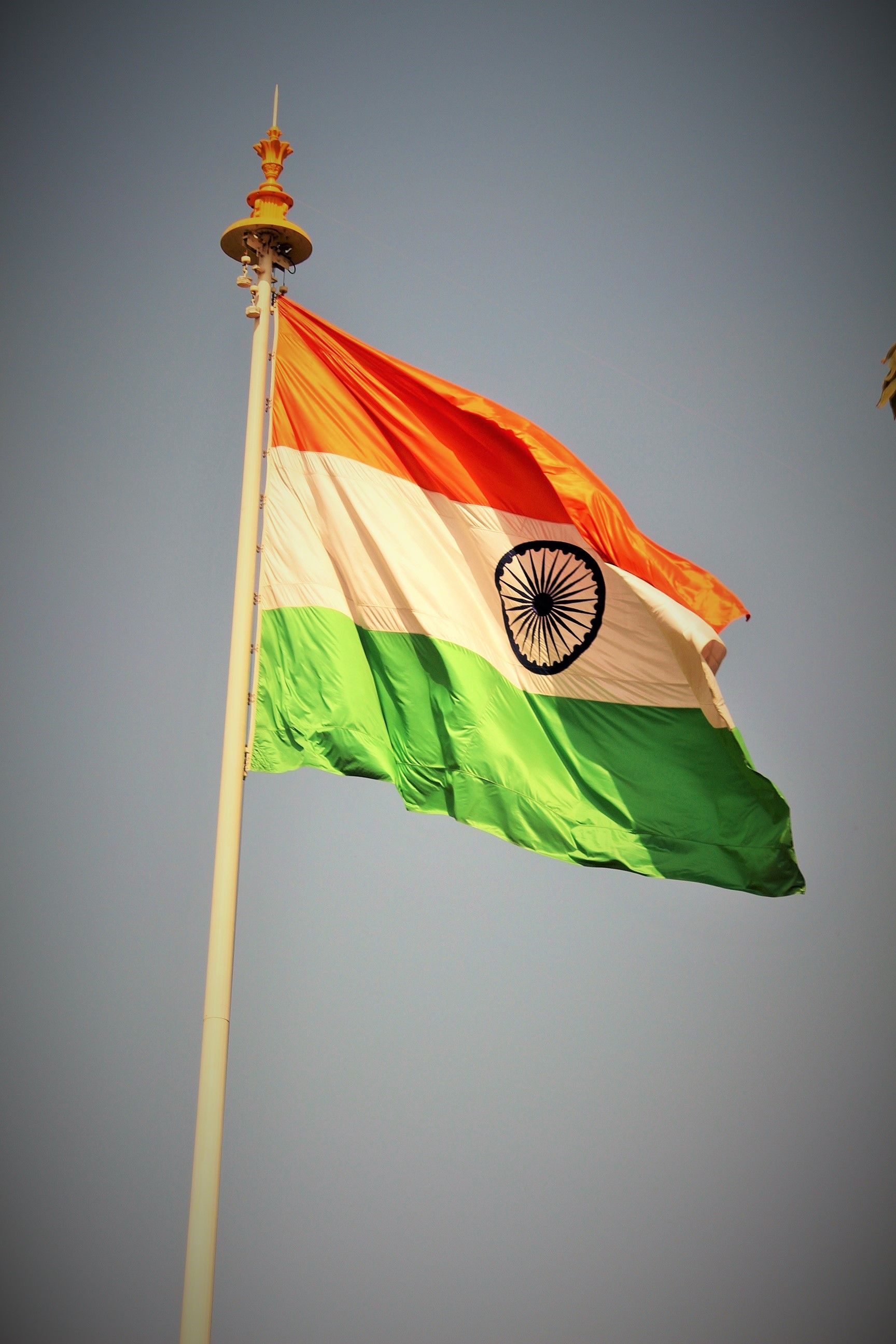 Free stock photo of Indian flag - 1200 x 627 jpeg 62kB