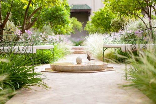 Free stock photo of bird, fountain, garden Stock Photo