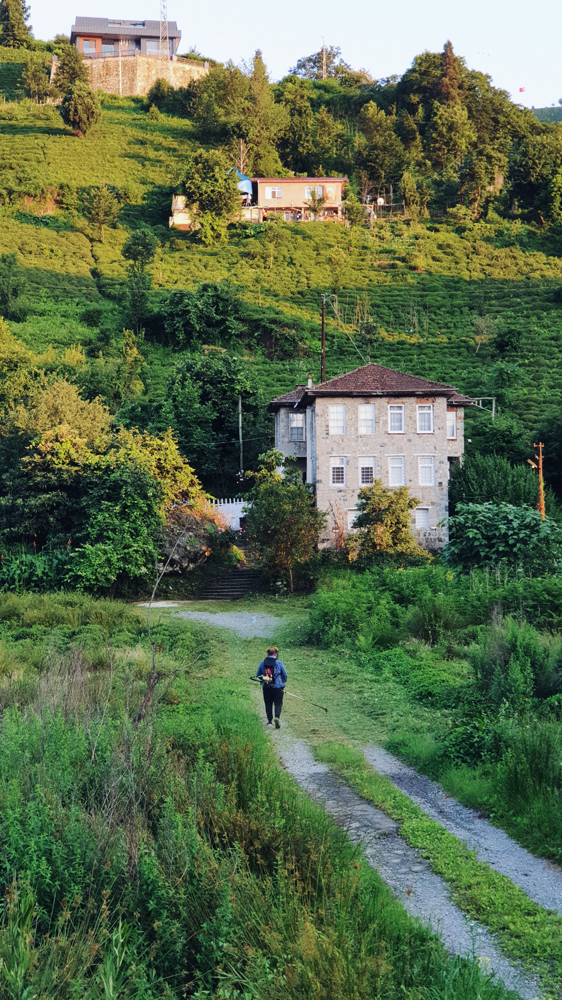Explore a scenic pathway by a traditional house surrounded by lush greenery in Rize, Turkey.